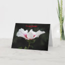 Suche nach zuhörer postkarten Für sie