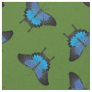 Suche nach papilio Schmetterling