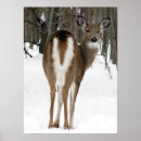 Suche nach deere poster Animal