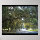 Suche nach spanish poster Landscape