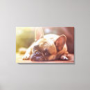 Suche nach bulldoggen leinwandbilder Jede person