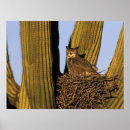 Suche nach uhu poster Natur