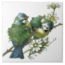 Suche nach vogel fliesen Für sie/ihn