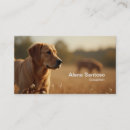 Suche nach retriever visitenkarten Retriefe
