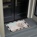Suche nach cotons Coton de tulear
