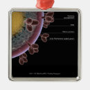 Suche nach zellen ornamente Horizontal