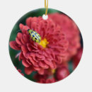 Suche nach fehler ornamente Natur