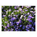 Suche nach teppich poster Grün