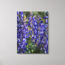 Suche nach lupine leinwandbilder Lila