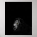 Suche nach weiße löwen poster Für alle