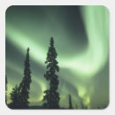 Suche nach fairbanks aufkleber Muster