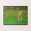 Suche nach känguru puzzle Wallaby