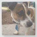 Suche nach brauner hund untersetzer Niedlich