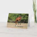 Suche nach leaping karten Rasse