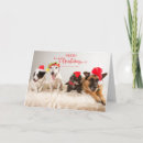Suche nach weihnachtshund karten Jede person