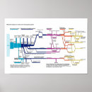 Suche nach flussdiagramm poster Justiz