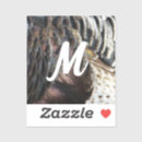 Suche nach turkey aufkleber Federn