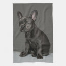 Suche nach french bulldog geschirr tücher Welpe