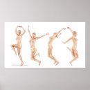 Suche nach weibliche anatomie poster Knochen
