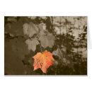Suche nach fallfarbe Blatt