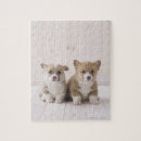 Suche nach waliser puzzle Hund