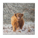 Suche nach schwarze kuh fliesen Tiere