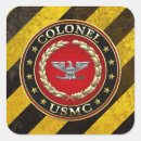 Suche nach usb aufkleber Usmc col rank insigna