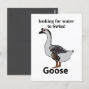Suche nach lustige gans postkarten Vogelvogel
