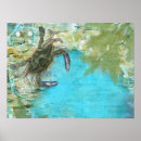 Suche nach blaue krabbe poster Jede person