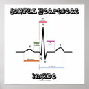 Suche nach heartbeat poster Ekg