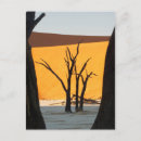 Suche nach park postkarten Wüste