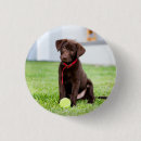 Suche nach tennisbälle buttons Hund