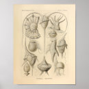 Suche nach wesen poster See