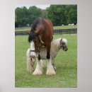 Suche nach lustiges pony poster Tier
