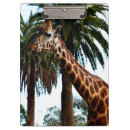 Suche nach giraffe klemmbrett Natur