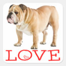 Suche nach englische bulldogge aufkleber Welpe
