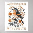 Suche nach amerikanischer vogel poster Illustration