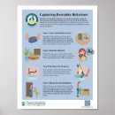 Suche nach verhalten poster Jede person