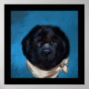 Suche nach hundefutter poster Hundepass