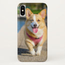 Suche nach fertigen iphone hüllen Handy
