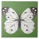 Suche nach schwarzer schmetterling fliesen Natur