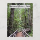 Suche nach redwood national park postkarten Natur