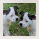 Suche nach bull terrier puzzle Welpe