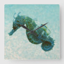 Suche nach seepferd wanduhren Strand