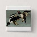 Suche nach wildes leben buttons Vogel