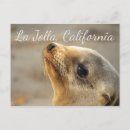 Suche nach la jolla california postkarten Kalifornien