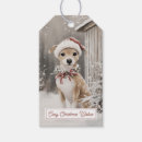 Suche nach hund geschenkanhänger Jede person