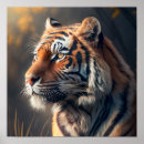 Suche nach fleischfresser poster Tiger