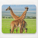 Suche nach zwei tiere mousepads Gras
