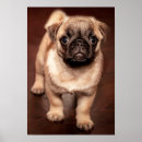 Suche nach pug poster Puppy